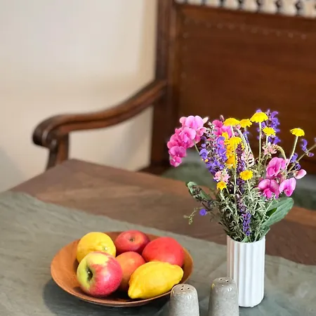 Le Baumann Concept: De Charme Dans Un Monument Historique * Colmar