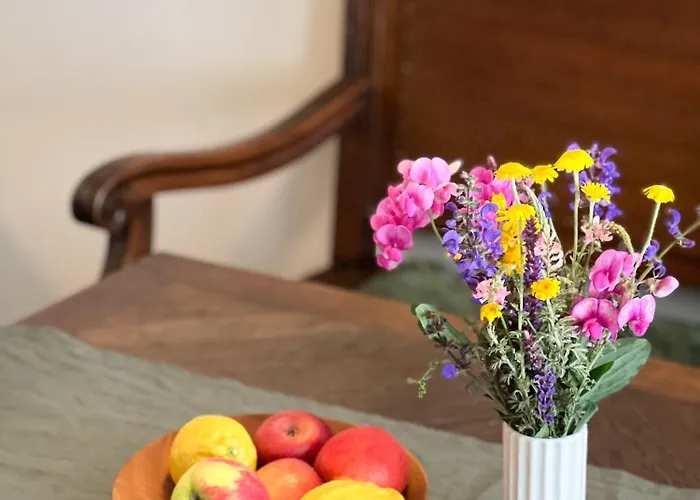 Le Baumann Concept: De Charme Dans Un Monument Historique * Colmar